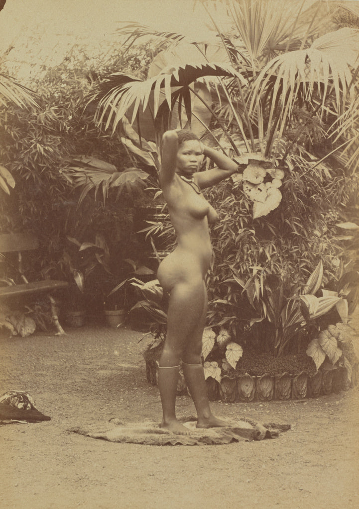 Prince Roland Napoleon Bonaparte:[African Woman], Poster Print Wall Art