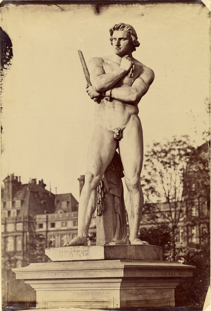 Charles Nègre:[Spartacus, Tuileries Gardens, Paris],16x12