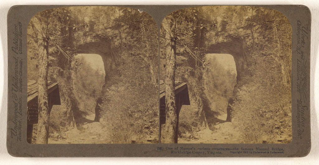 Underwood & Underwood:One of Nature's curious structures - t, Poster Print Wall Art