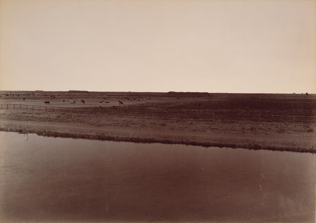 Carleton Watkins:View on the Calloway Canal, Near Poso Creek, Poster Print Wall Art