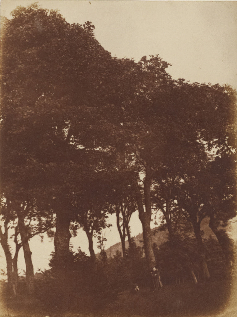 Hill & Adamson:[Field at Bonaly], Poster Print Wall Art