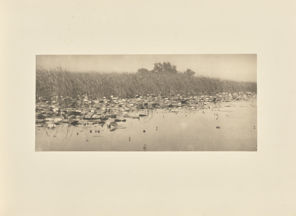 Peter Henry Emerson:Water-Lilies, Poster Print Wall Art