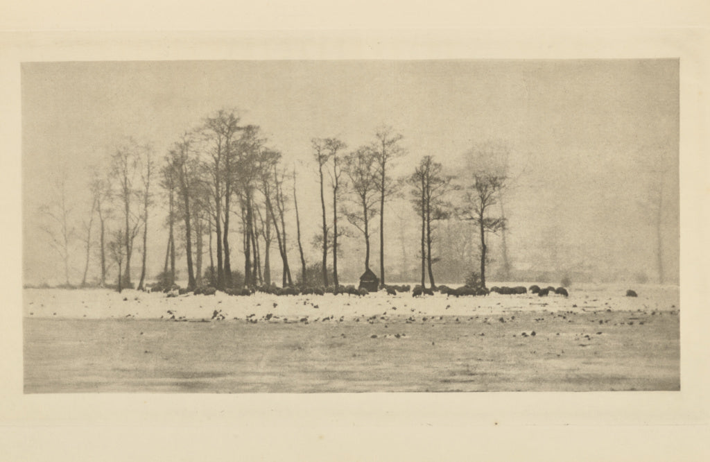 Peter Henry Emerson:A Winter Pastoral, Poster Print Wall Art