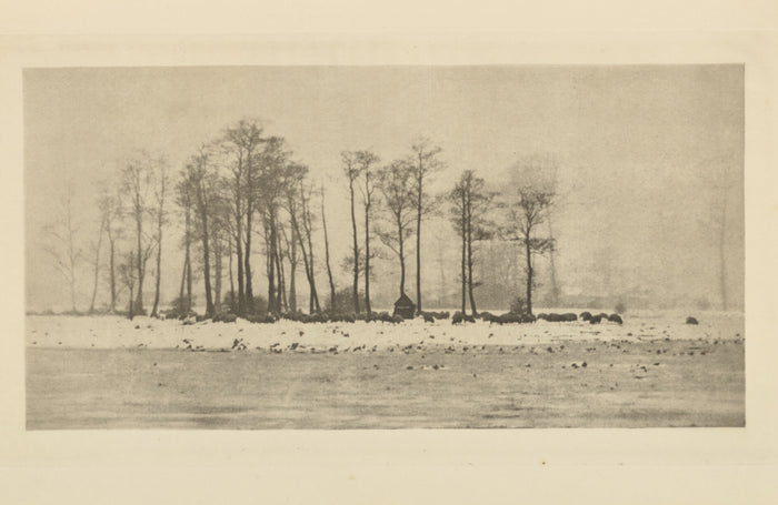 Peter Henry Emerson:A Winter Pastoral,16x12