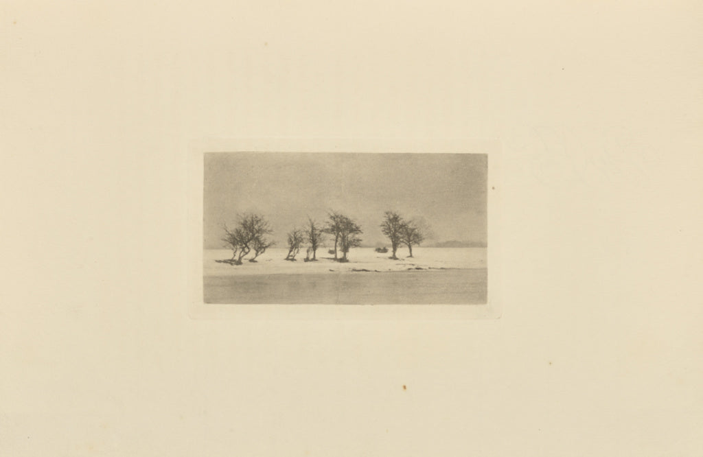 Peter Henry Emerson:Gnarled Thorn-Trees, Poster Print Wall Art