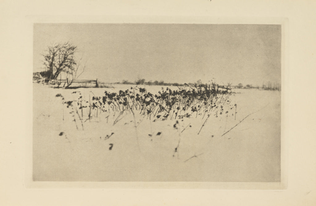 Peter Henry Emerson:The Snow Garden, Poster Print Wall Art