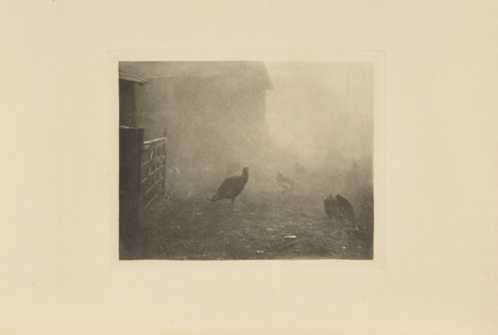 Peter Henry Emerson:A Corner of the Farm-Yard,16x12"(A3)Poster