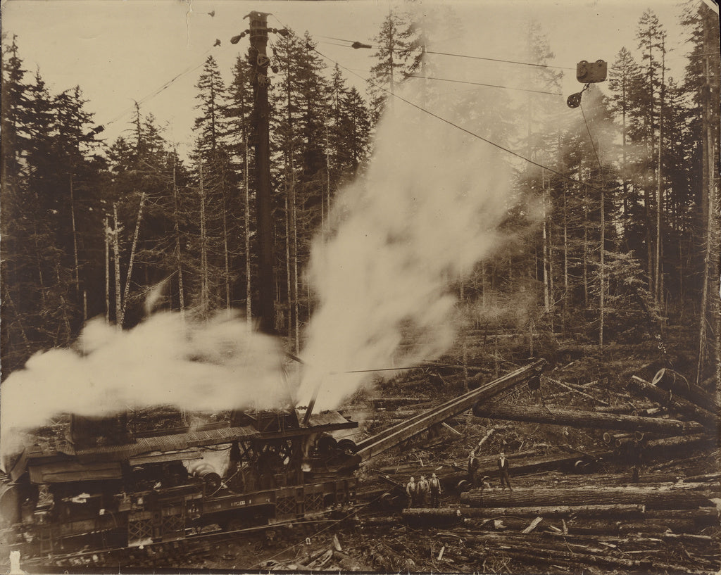 Darius Kinsey:[Men with Steam-powered Lumber Derrick], Poster Print Wall Art