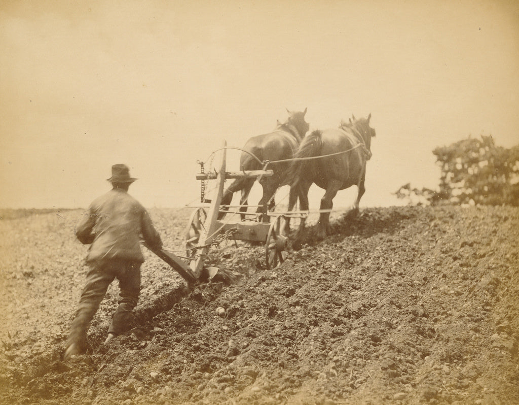 Peter Henry Emerson:"A Stiff Pull",16x12"(A3)Poster