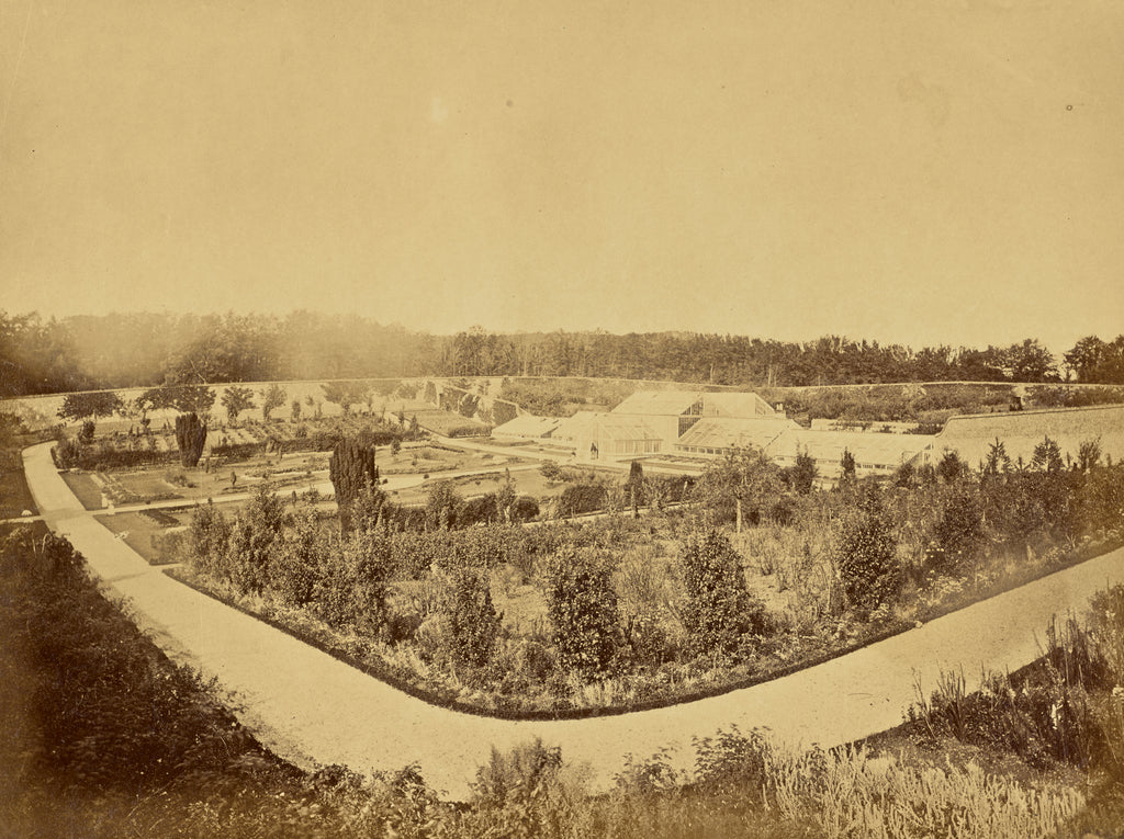 William M. Lawrence:[Garden with Greenhouse], Poster Print Wall Art