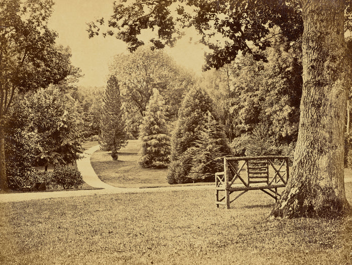 William M. Lawrence:[Wooden Bench in Park],16x12