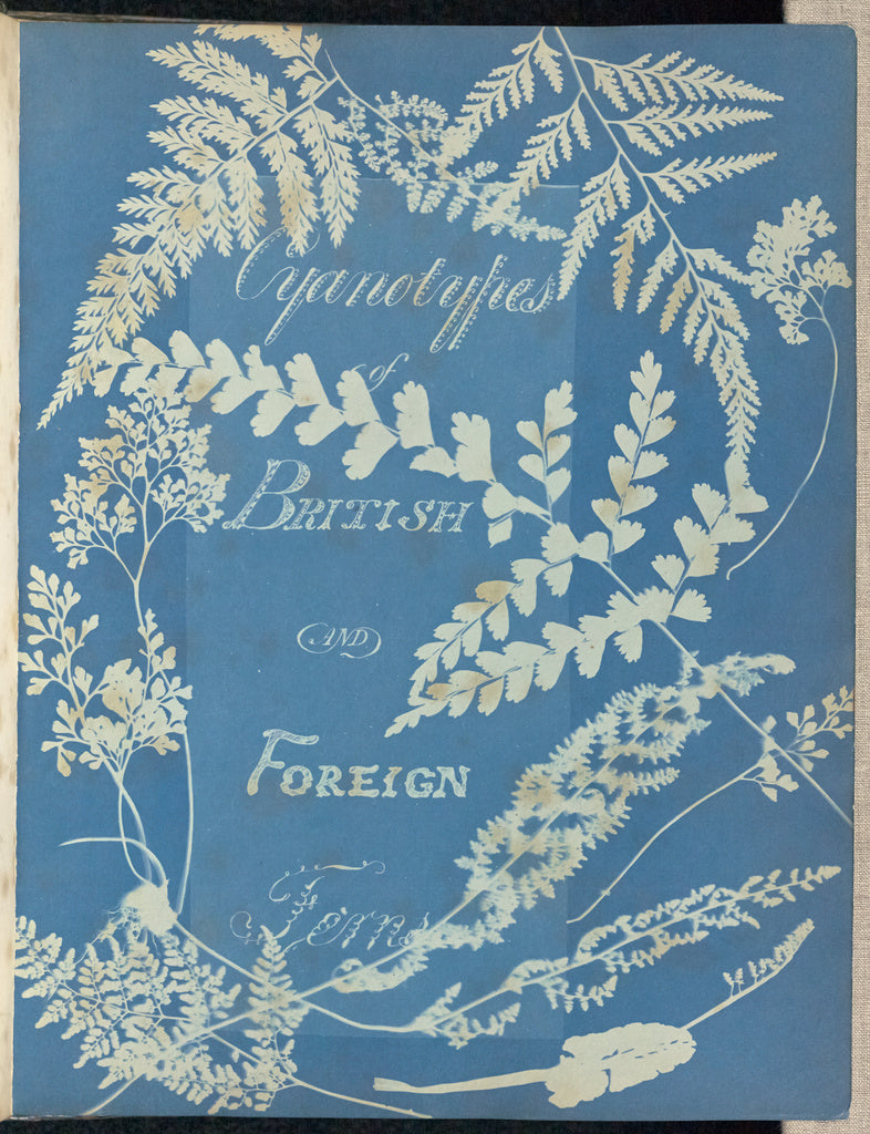 Anna Atkins:Cyanotypes of British and Foreign Ferns,16x12"(A3)Poster