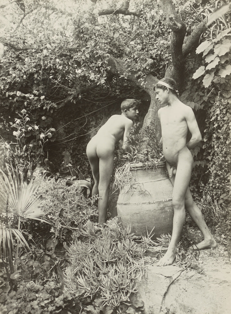 Baron Wilhelm von Gloeden:[Two Nude Young Men in a Garden],16x12"(A3)Poster