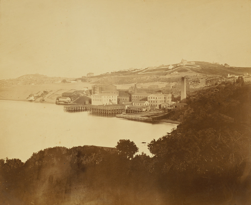 Carleton Watkins:[Woolen Mill, San Francisco],16x12"(A3)Poster