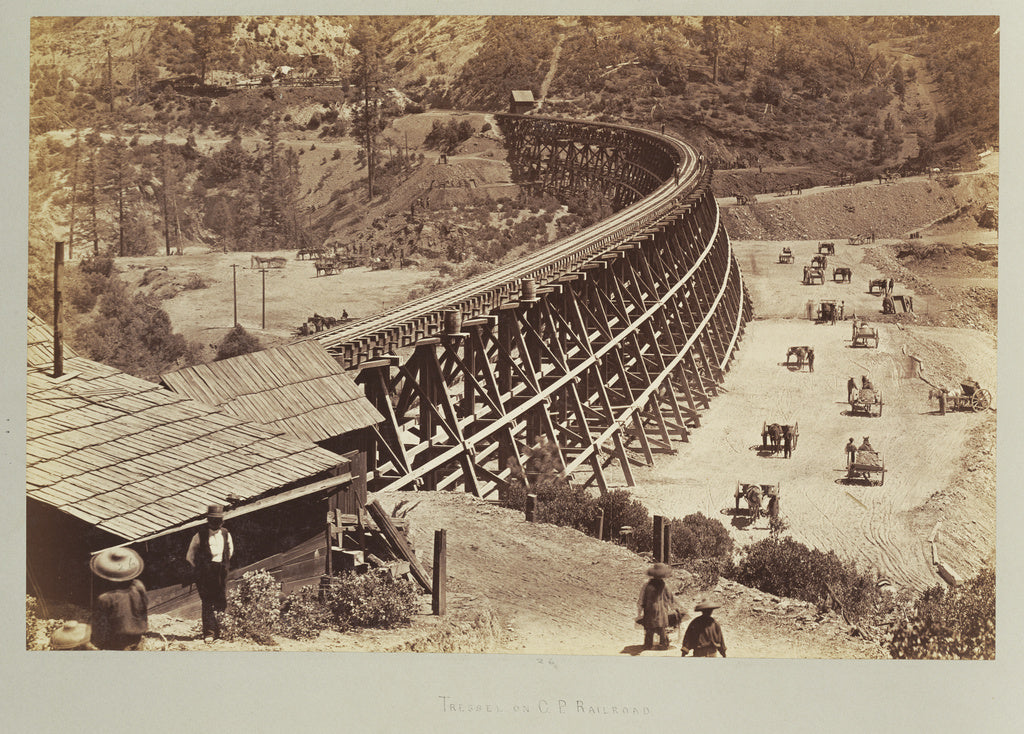 Carleton Watkins:[Trestle on Central Pacific Railroad], Poster Print Wall Art
