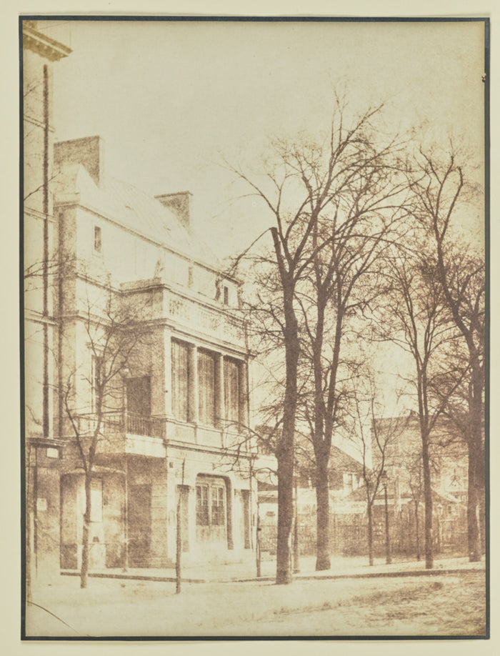 Hippolyte Bayard:[Street lined with bare trees],16x12