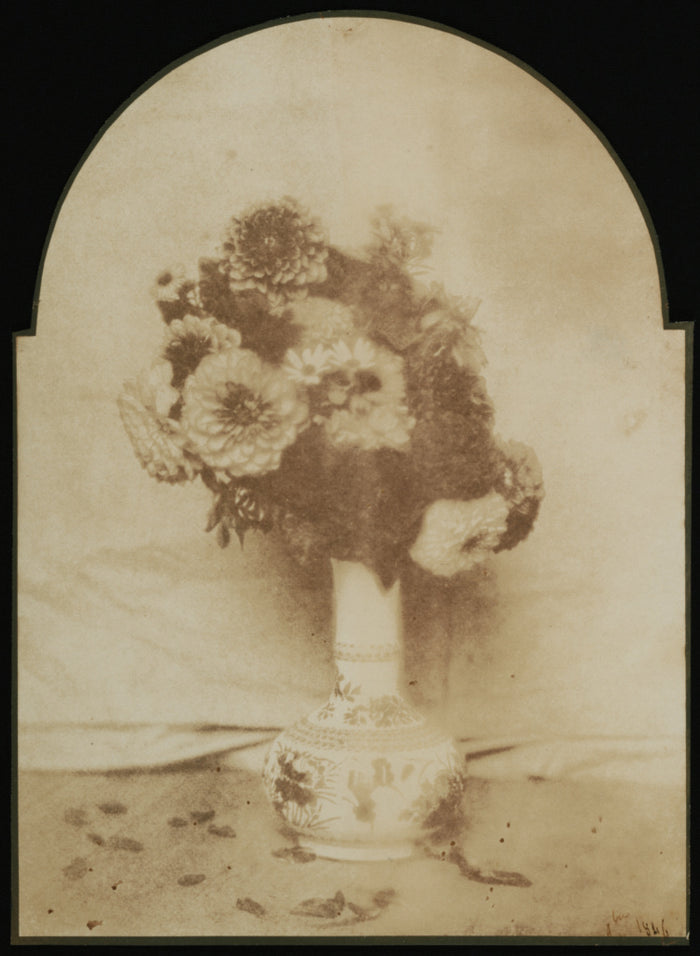 Hippolyte Bayard:[Still Life of Flowers in a Vase],16x12