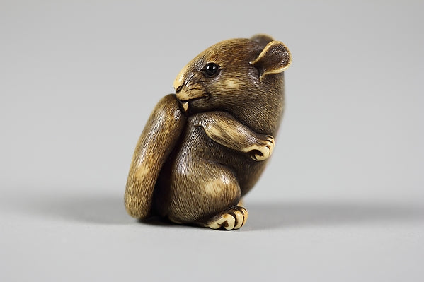 Netsuke of Squirrel late 18th cent,  Poster Print