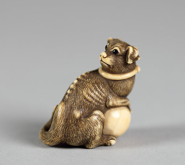 Netsuke of Cat with a Ball 19th cent,  Poster Print