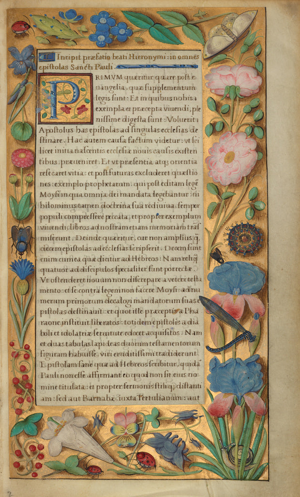 Master of the Getty Epistles:Decorated Text Page, Poster Print Wall Art