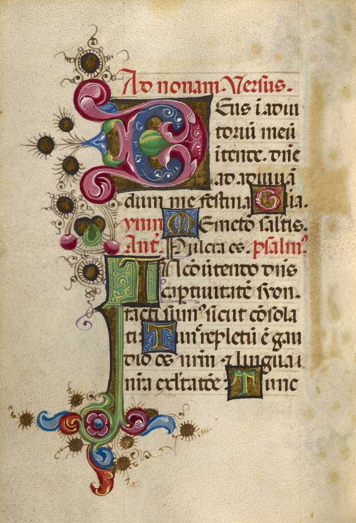 Unknown:Decorated Initial D; Decorated Initial I, Poster Print Wall Art