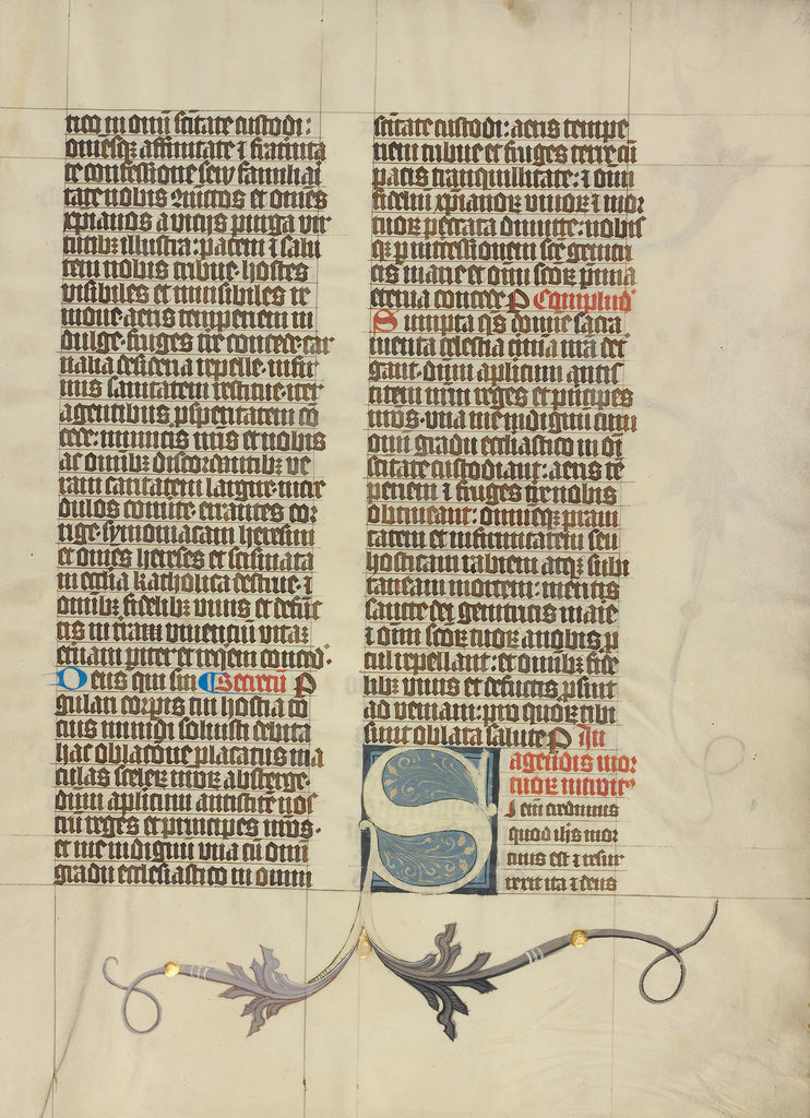 Master Michael:Decorated Initial S, Poster Print Wall Art