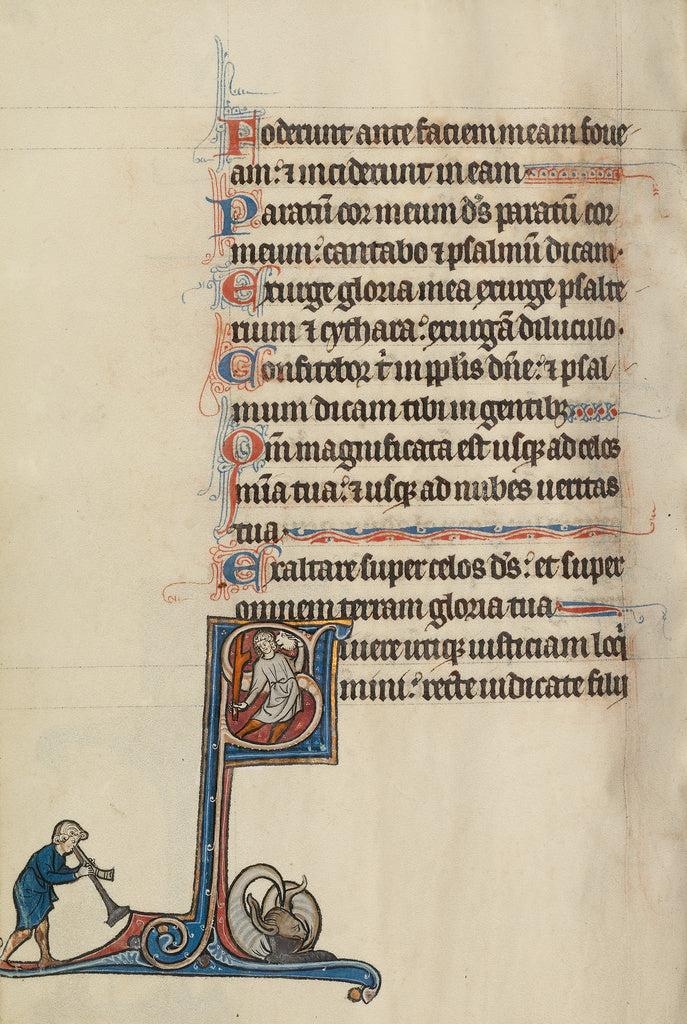 Bute Master:Initial S, Poster Print Wall Art