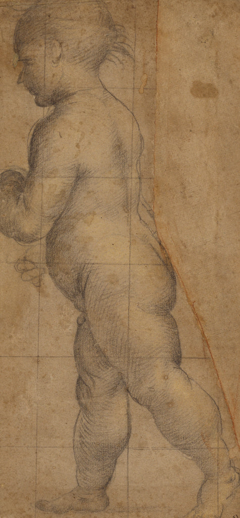 Fra Bartolommeo :Study for the Figure of the Infant Saint Jo, Poster Print Wall Art