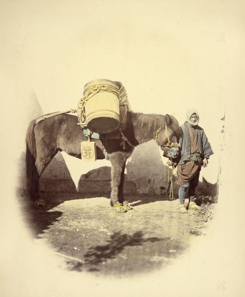 Felice Beato:Pack Pony, Poster Print Wall Art
