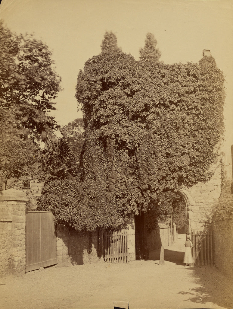 Felice BeatoAttributed to:[Gated Arch covered in Vegetation], Poster Print Wall Art