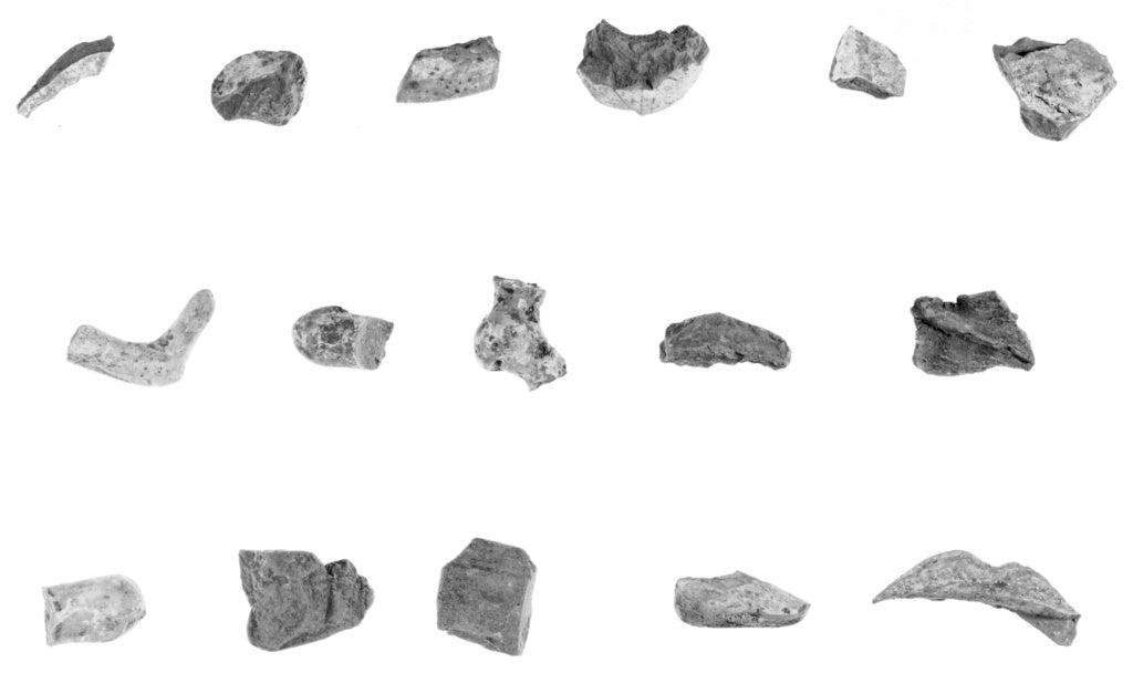 Unknown:Fragmentary Canosan Oinochoe (56), Poster Print Wall Art