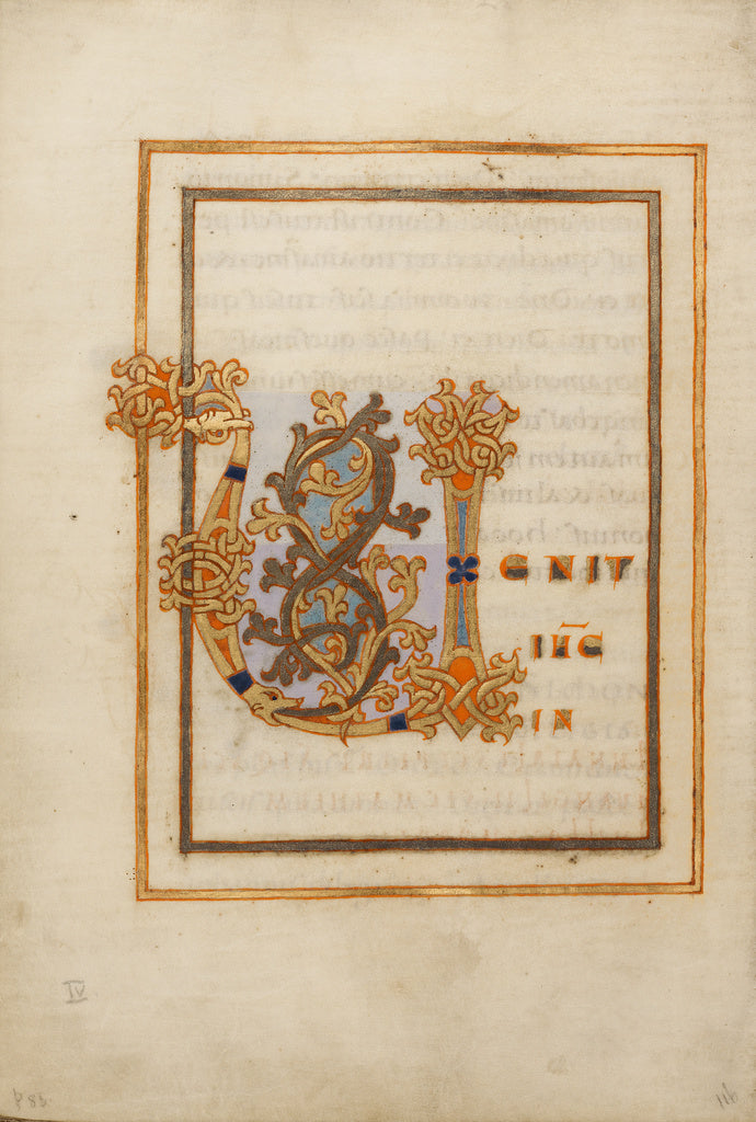 Unknown:Decorated Initial V,16x12"(A3)Poster