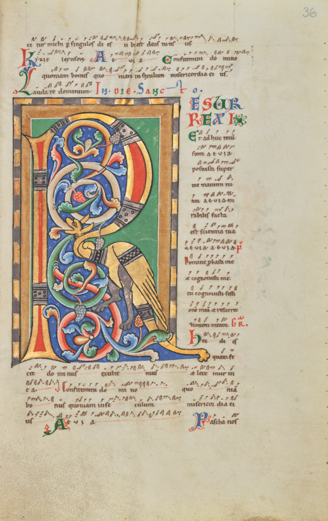 Unknown:Decorated Initial R, Poster Print Wall Art