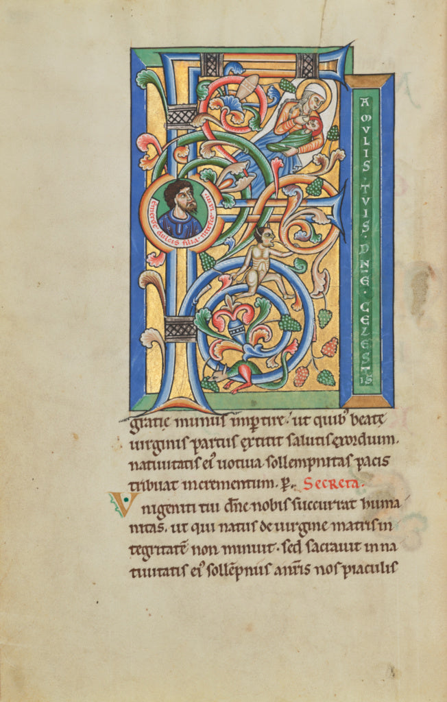 Unknown:Initial F: The Birth of the Virgin, Poster Print Wall Art