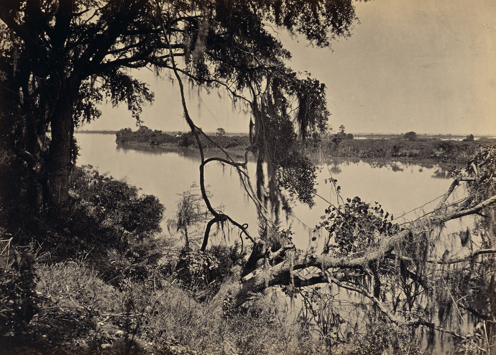 George N. Barnard:[Savannah River, Near Savannah Georgia], Poster Print Wall Art