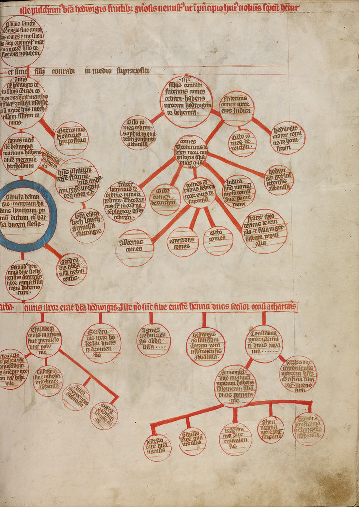 Unknown maker:Genealogy, Poster Print Wall Art