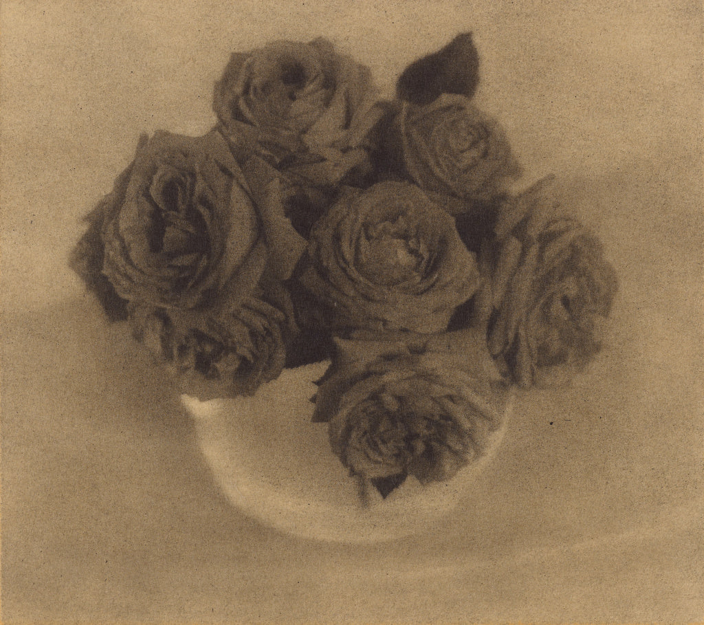 Heinrich Kühn:Roses in a Crystal Vase,16x12"(A3)Poster