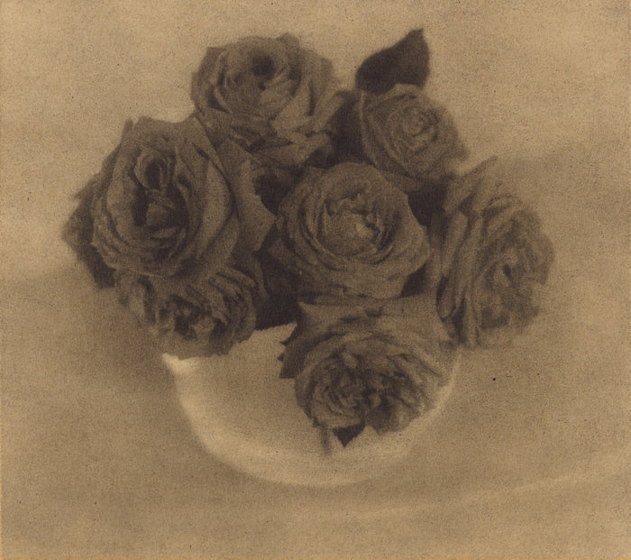 Heinrich Kühn:Roses in a Crystal Vase,16x12