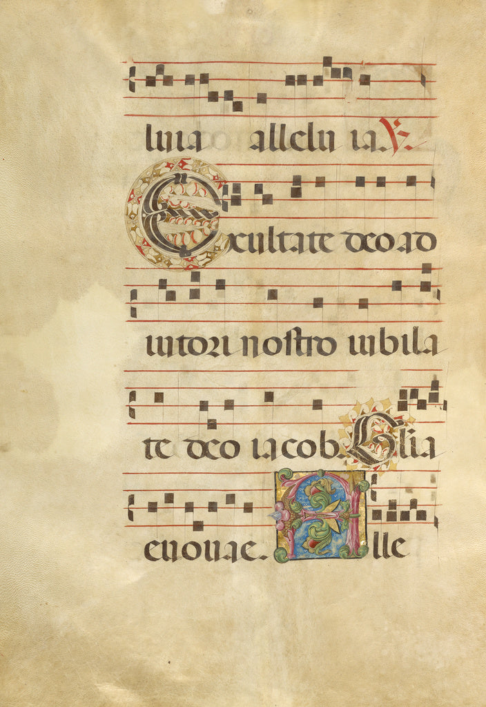 Unknown:Decorated Initial E; Decorated Initial A, Poster Print Wall Art