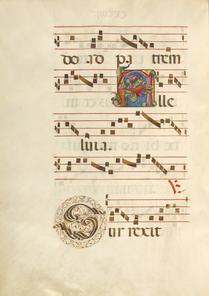 Unknown:Decorated Initial A; Decorated Initial S, Poster Print Wall Art