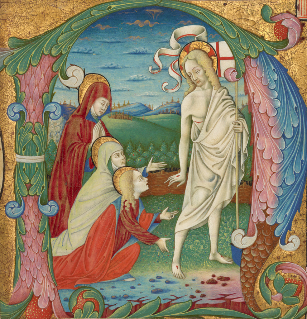 Bartolomeo Rigossi da Gallarate:Initial N: The Resurrected C, Poster Print Wall Art