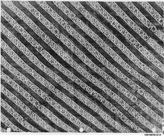 :Fragment of Turban Cloth 19th century-16x12"(A3) Poster