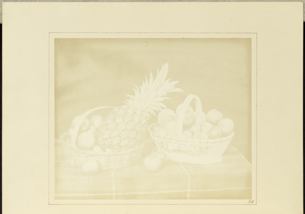 William Henry Fox Talbot:A Fruit Piece,16x12"(A3)Poster