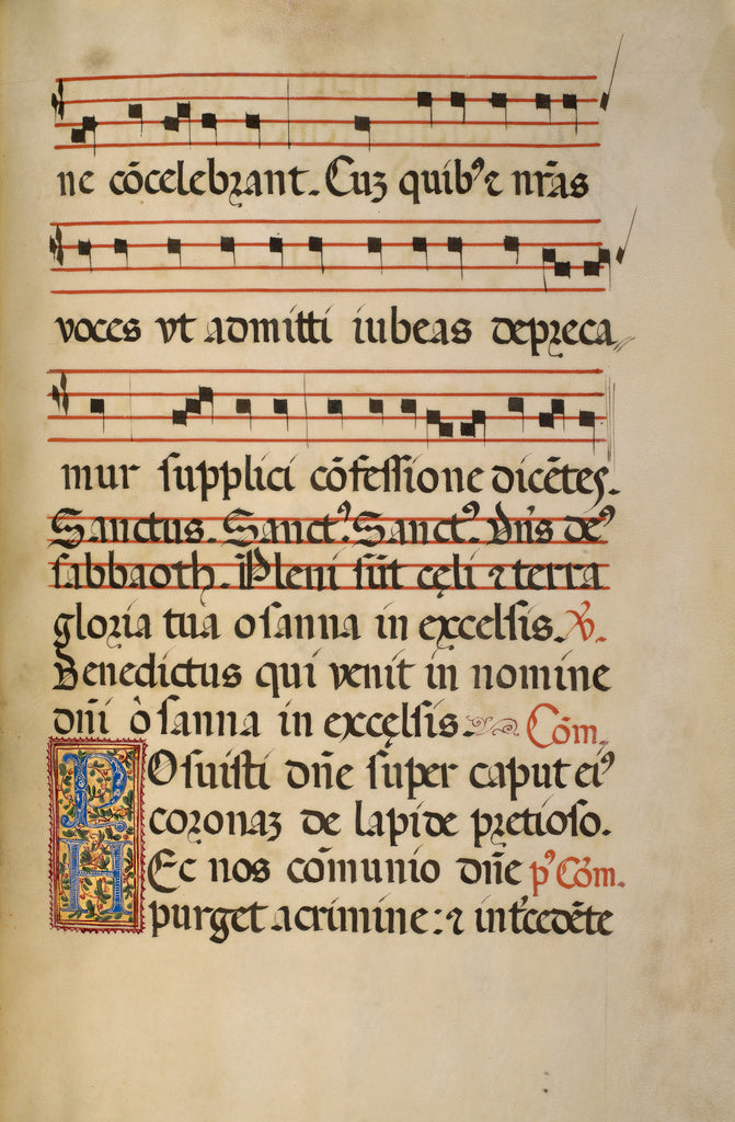 Fra Vincentius a Fundis:Decorated Initial P; Decorated Initi,16x12"(A3)Poster