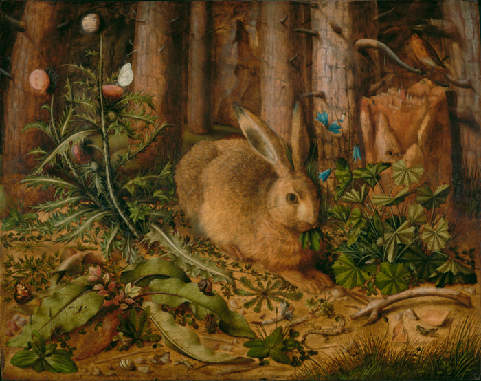 Hans Hoffmann:A Hare in the Forest,16x12