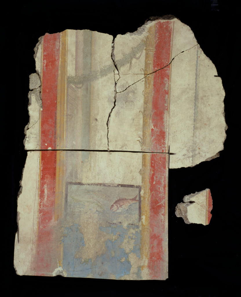 Unknown:Fresco Fragments  (11), Poster Print Wall Art