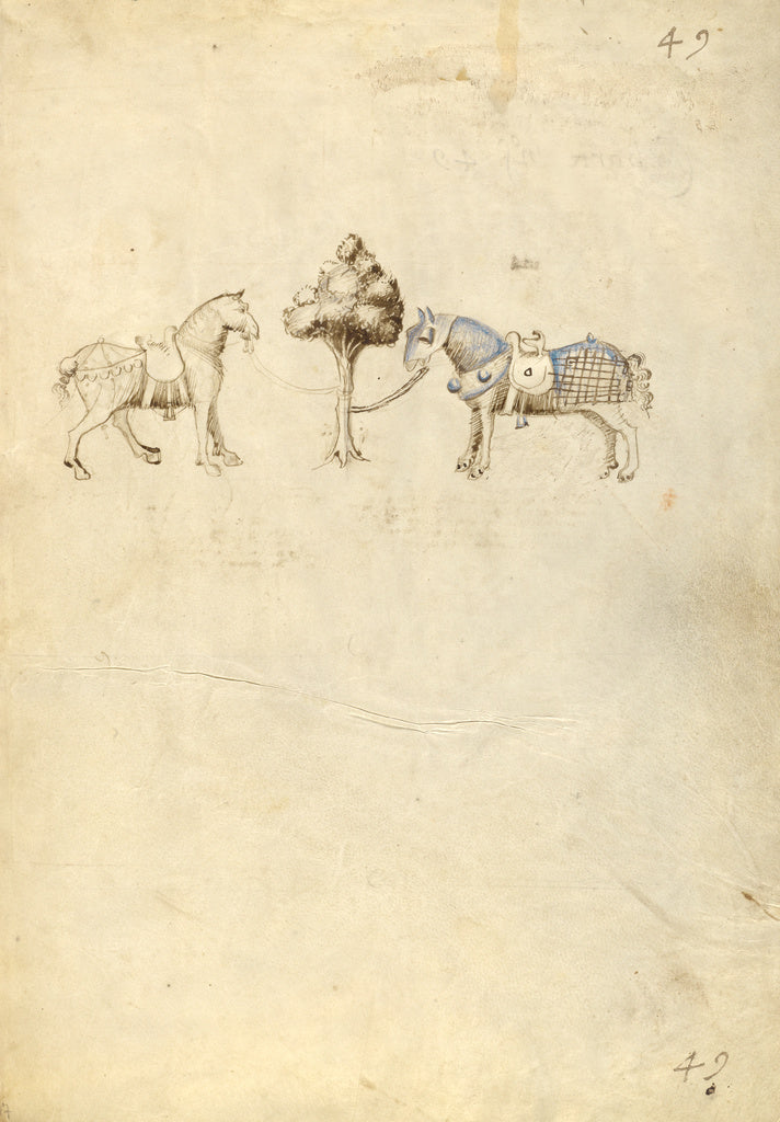 Fiore Furlan dei Liberi da Premariacco:Two Horses, Poster Print Wall Art