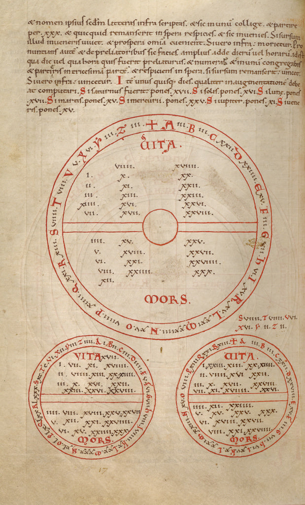 Unknown:Medical-Astrological Chart, Poster Print Wall Art