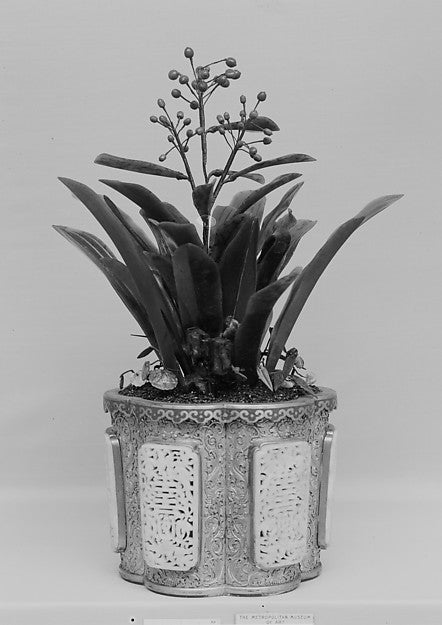 Pot with Plant,  Poster Print Wall Art
