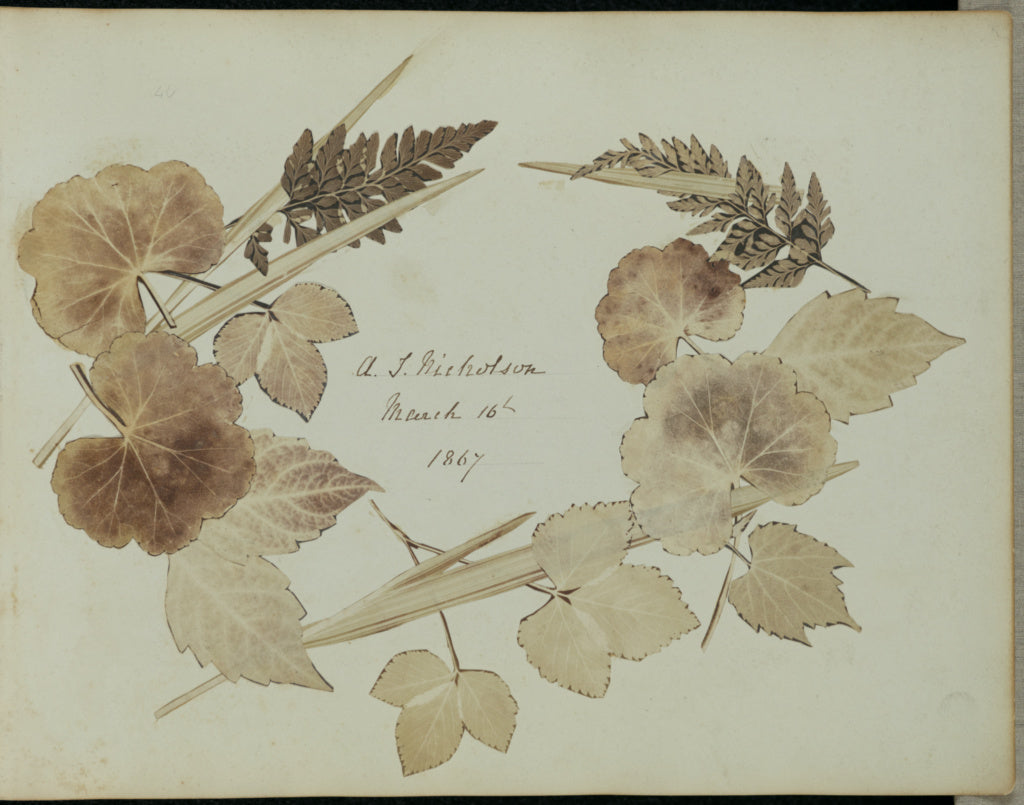 John Wheeley Gough Gutch:[Wreath of leaves and branches],16x12"(A3)Poster